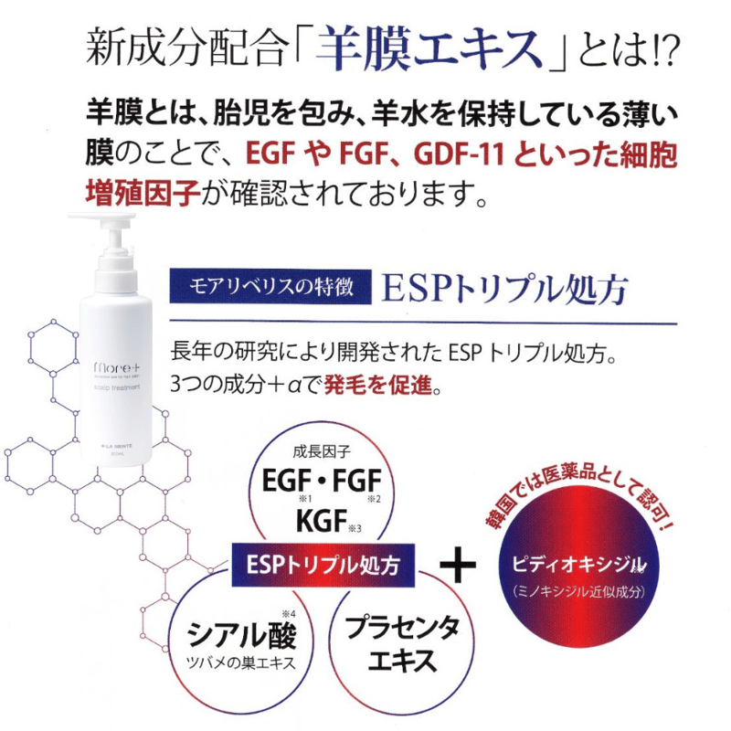 モアプラス スカルプシャンプー＆スカルプトリートメント 2本セット