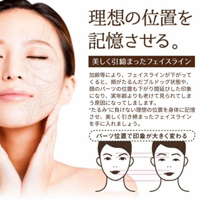 明日までお値下げ　モンテリフト　モンテセラピー 株式会社 リード モンテセラピー 製品のご案内＜モンテフェイスW