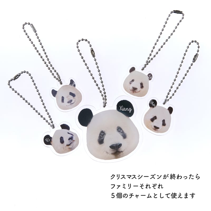 choco✨❀クリスマスリース ✨❀№83 小さめなクリスマスリース③(No.W-106)・イベント予定 | Re oreo