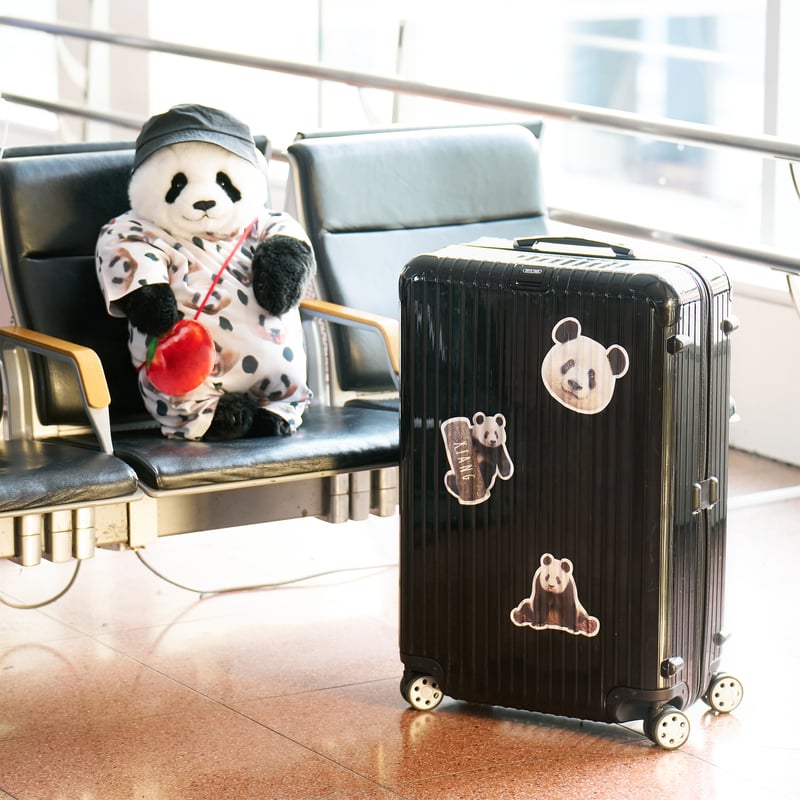 Xiang Birthday！ステッカー | Kuma Xiang