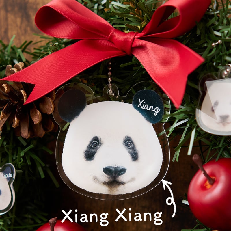 ファミリークリスマスリース | Kuma Xiang