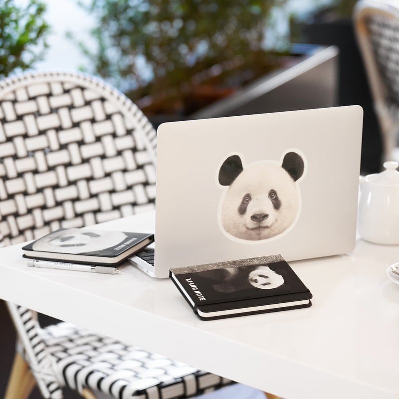 Xiang Birthday！ステッカー | Kuma Xiang