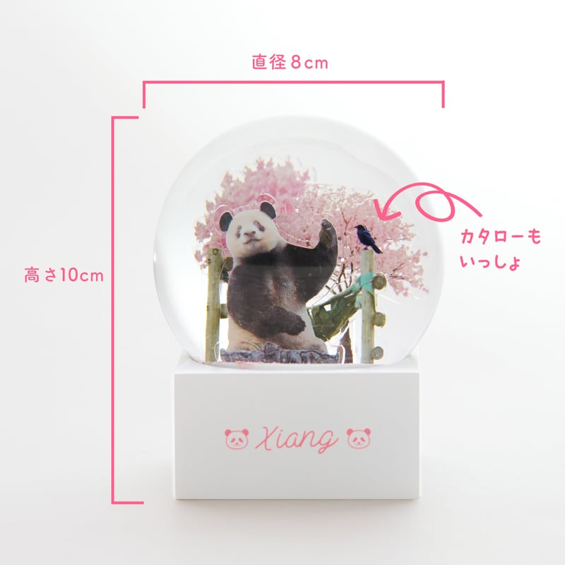 専用　ジャンクジャーナル Cherry Blossom4 SAKURAドーム | Kuma Xiang