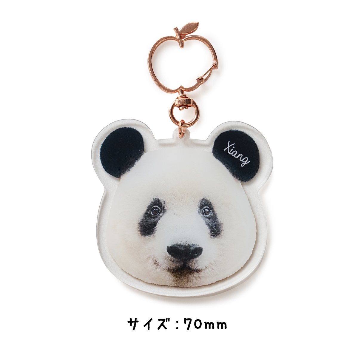 【シャンシャン】キーホルダー８個セット 両面シャンちゃん！おりんごキーホルダー | Kuma Xiang