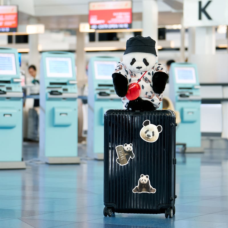 Xiang Birthday！ステッカー | Kuma Xiang