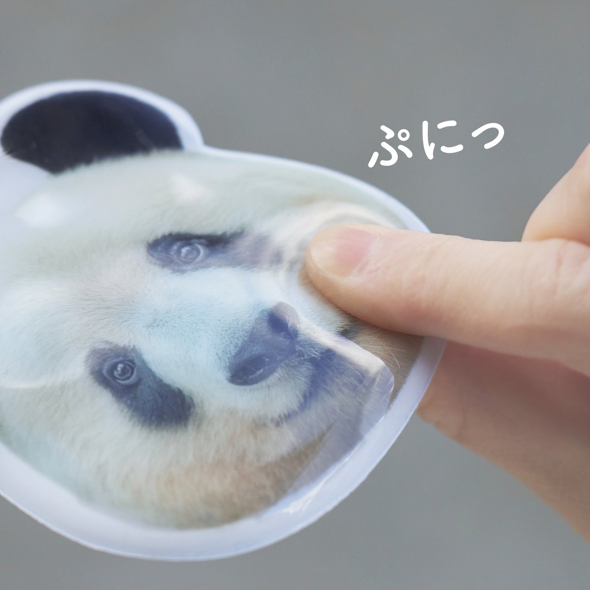 RITAO CHAN公式アカウント07専用【ジャンク品】 Xiang Birthday！ぷくぷくシャンタグ(ラゲッジタグ） | Kuma Xiang