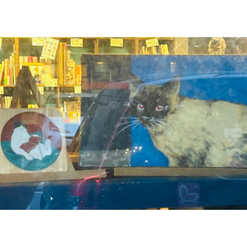 原田柚亜 Book | 猫と書