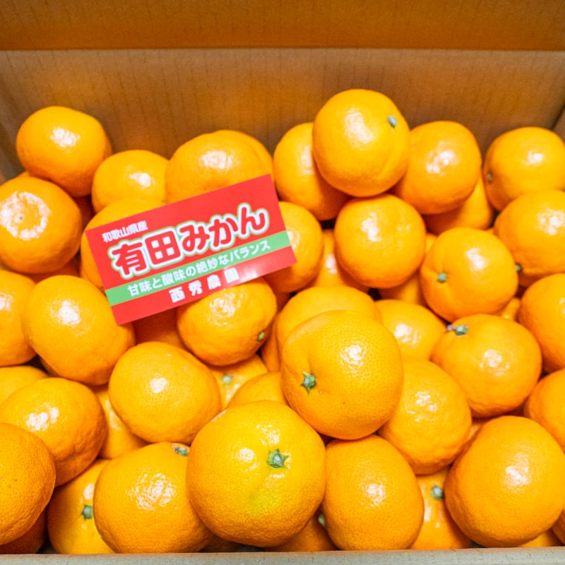 有田みかん3kg | Farmers land