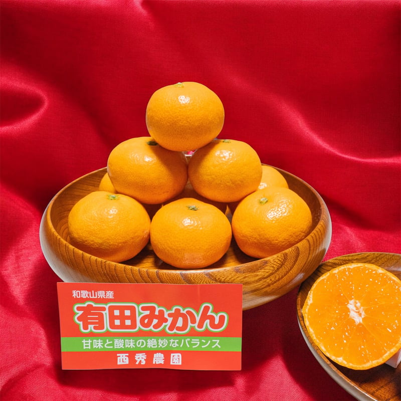 有田みかん3kg | Farmers land