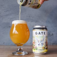 姫野みなみ監修 クラフトビール GATE　6缶セット