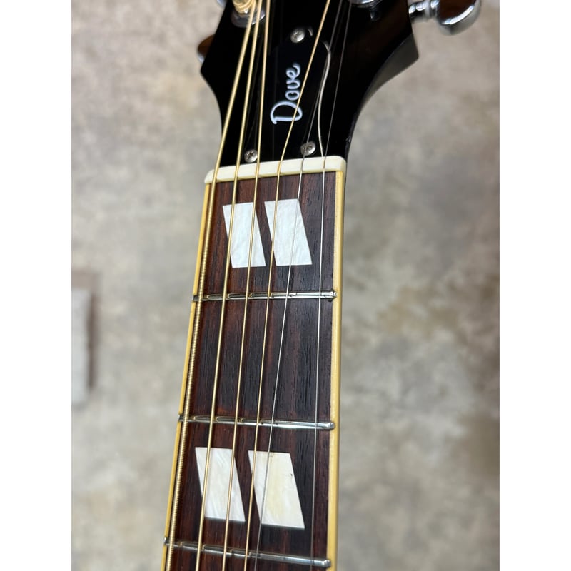 美品◎Epiphone アコースティックギター Dove LTD EDITION Epiphone / Limited Edition Dove【オフィシャルストア限定】 |