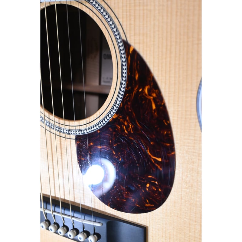 Martin OMC-16 OGTE 【ハードケース付 弦交換済（エリクサー）】 税込】 【ハードケース付 OGTE OMC-16 Martin 弦交換済（エリクサー