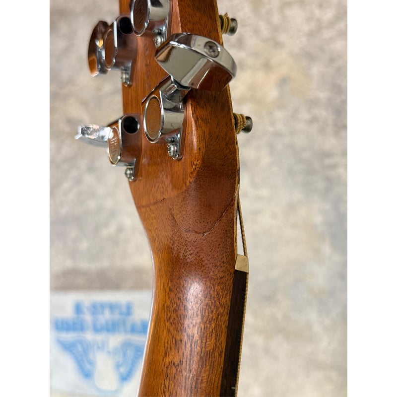 ワケあり特価品】Seagull / SM6 SPRUCE | K-STYLE USED GU