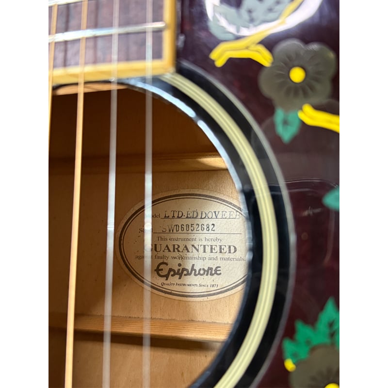 美品◎Epiphone アコースティックギター Dove LTD EDITION Epiphone / Limited Edition Dove【オフィシャルストア限定】 |