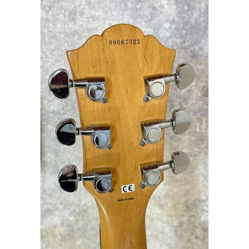 827021様用　Washburn ワッシュバーン 827021様用 Washburn ワッシュバーン 宅配 827021様用 Washburn