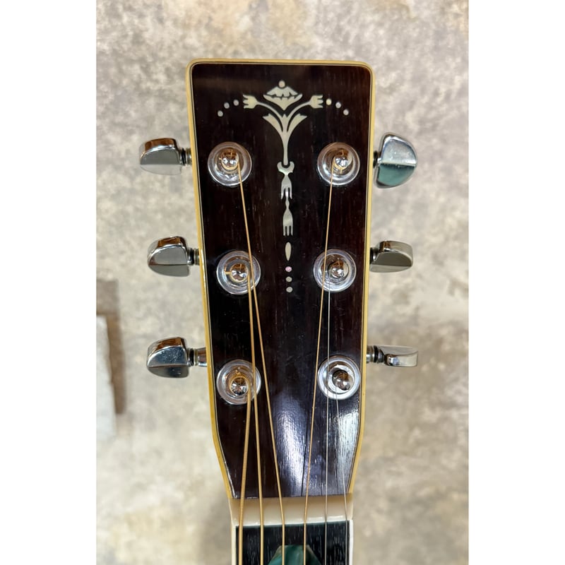 Cat's Eyes / CE-450D | K-STYLE USED GUITARS Cat's Eyes / CE-450D | K-STYLE USED GUITARS