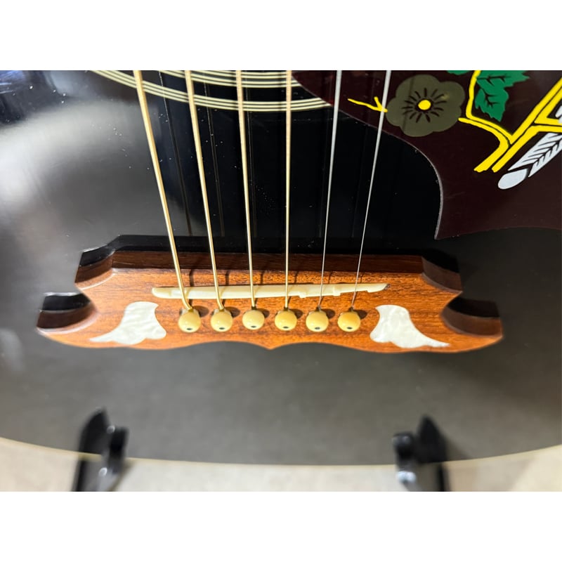 Epiphone / Limited Edition Dove【オフィシャルストア限定】 |