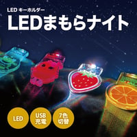 LEDまもらナイト