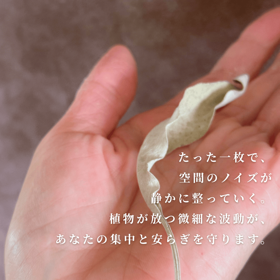 6836901da625e887b62bcaa6