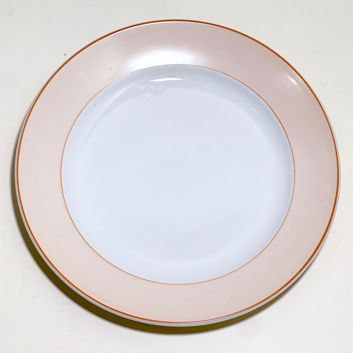 NORITAKE Rose China Rim plate / ノリタケ ローズチャイナ印 リ