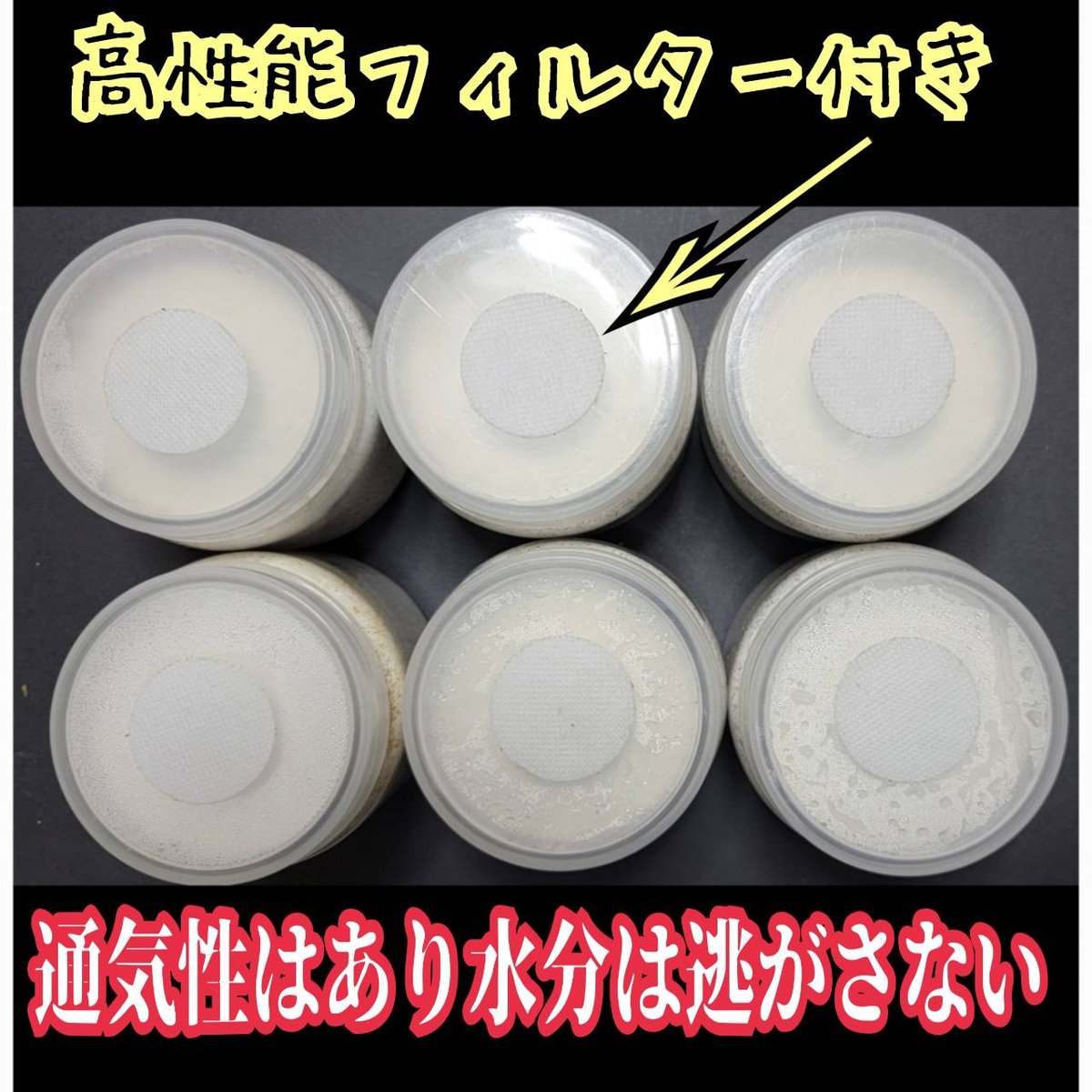 貴重！黒アワビタケ菌糸瓶【6本セット】特殊アミノ酸強化配合