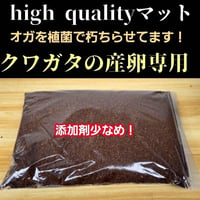 特大Lサイズ クワガタの産卵木はコレが最強！ カワラタケ植菌材