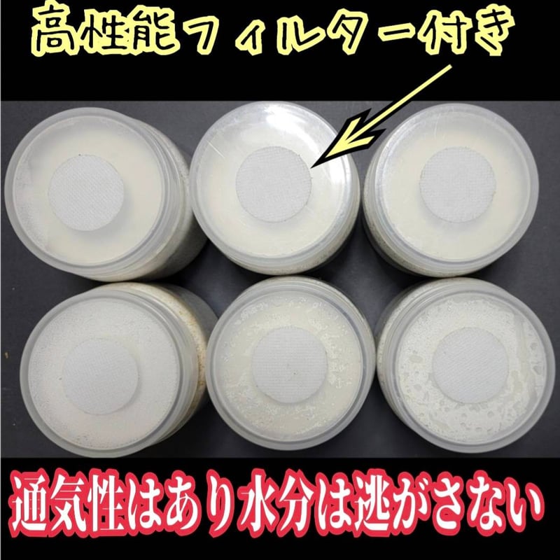 極上！カワラタケ菌糸瓶 1100ml【6本セット】クワガタ全般に使えます