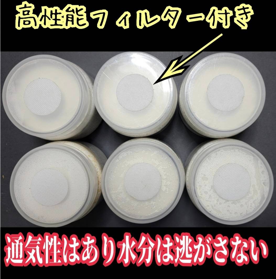 極上！カワラタケ菌糸瓶 1100ml【6本セット】クワガタ全般に使えます