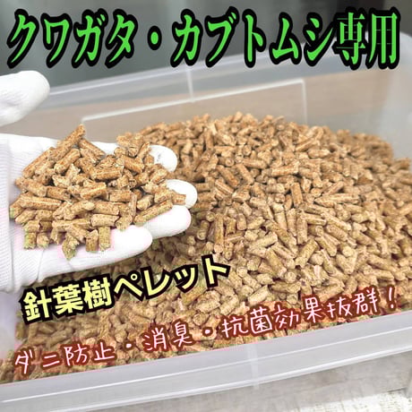 インセクトショップ