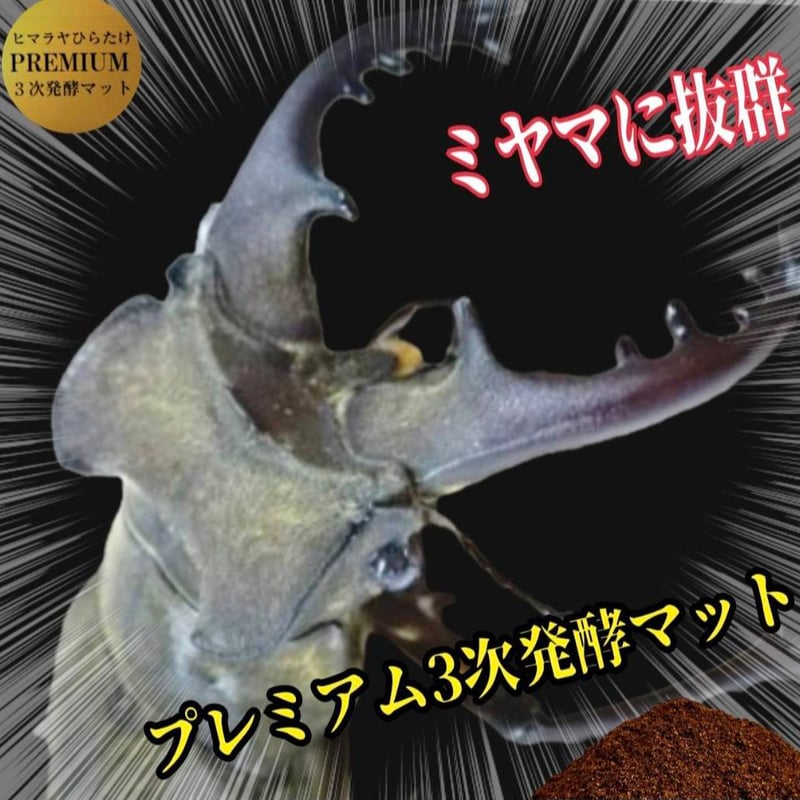 クワガタ幼虫を入れるだけ！便利！1000mlボトル入り【6本セット】進化