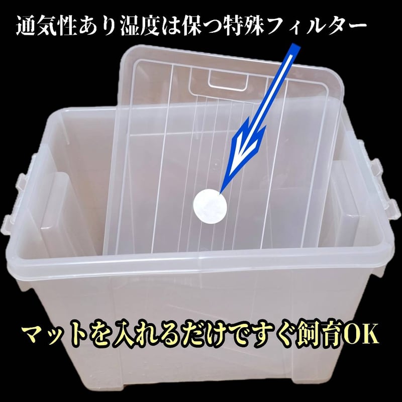 カブトムシ幼虫飼育専用ケース 20リットル マットを入れるだけですぐに