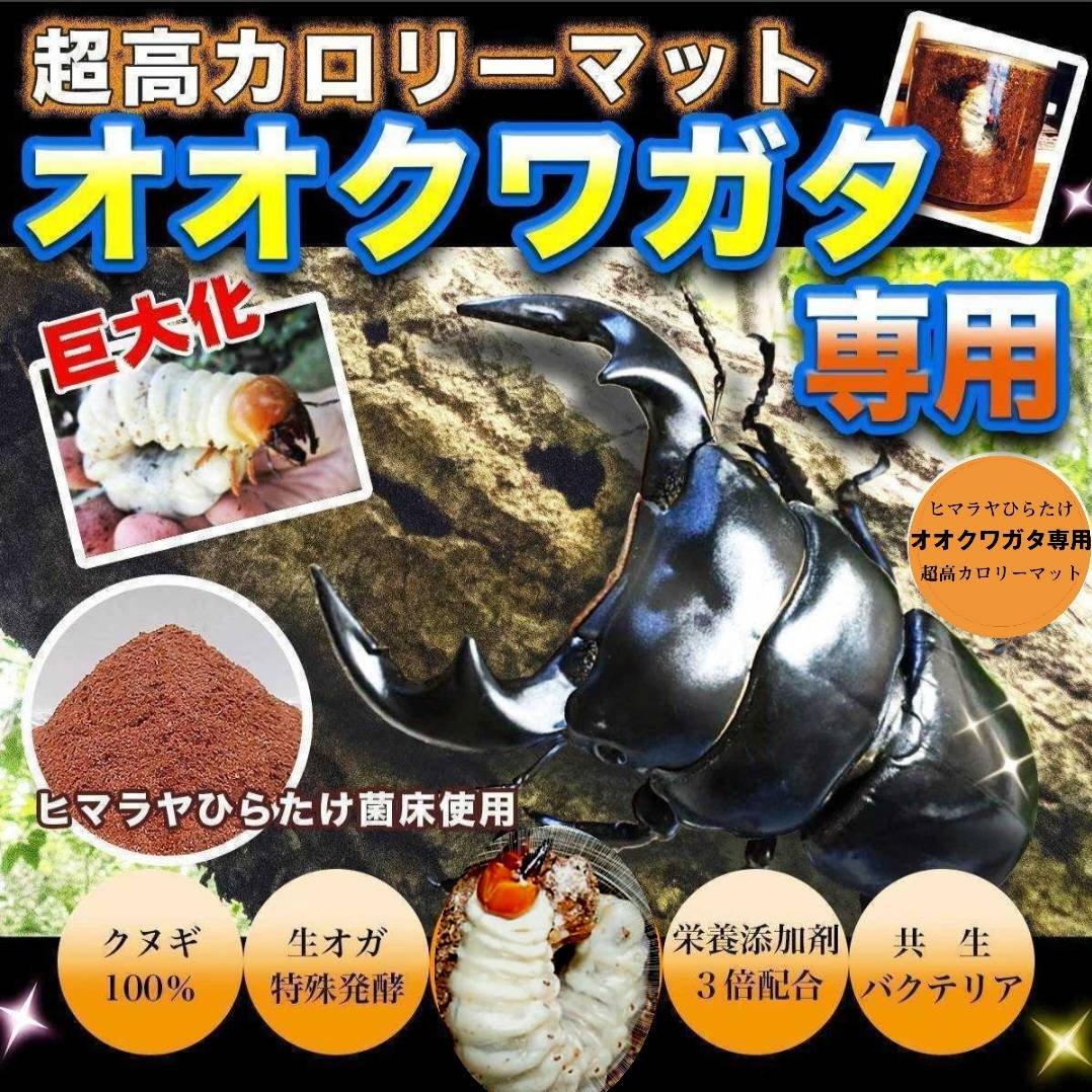 オオクワガタ専用　超高カロリーマット【50L】栄養添加剤3倍配合！生オガ特殊発酵 オオクワガタ専用☆超高カロリーマット【3袋】生オガを特殊発酵！共生