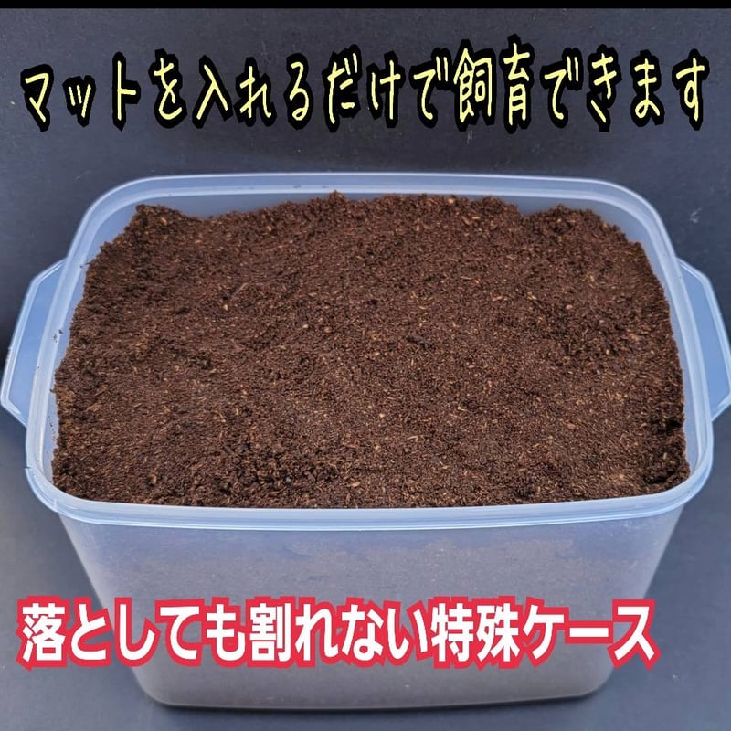 カブトムシ幼虫専用空ケース マットを入れるだけですぐに飼育できます