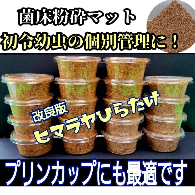 菌床粉砕クワガタマット【30L】ボトルやカップに詰めるだけ！菌糸瓶より経済的！ オオヒラタケ菌床粉砕クワガタマット【50L】幼虫が大きくなる