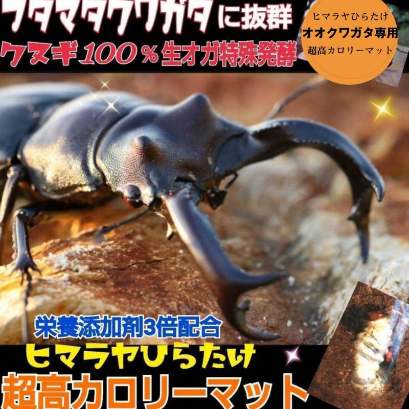 オオクワガタ専用 超高カロリーマット【10リットル】 生オガを特殊発酵