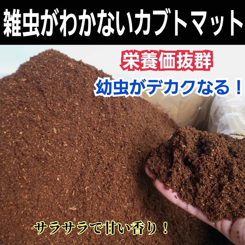 国産カブトムシにお薦め！ヒマラヤひらたけ菌床発酵マット【10リットル