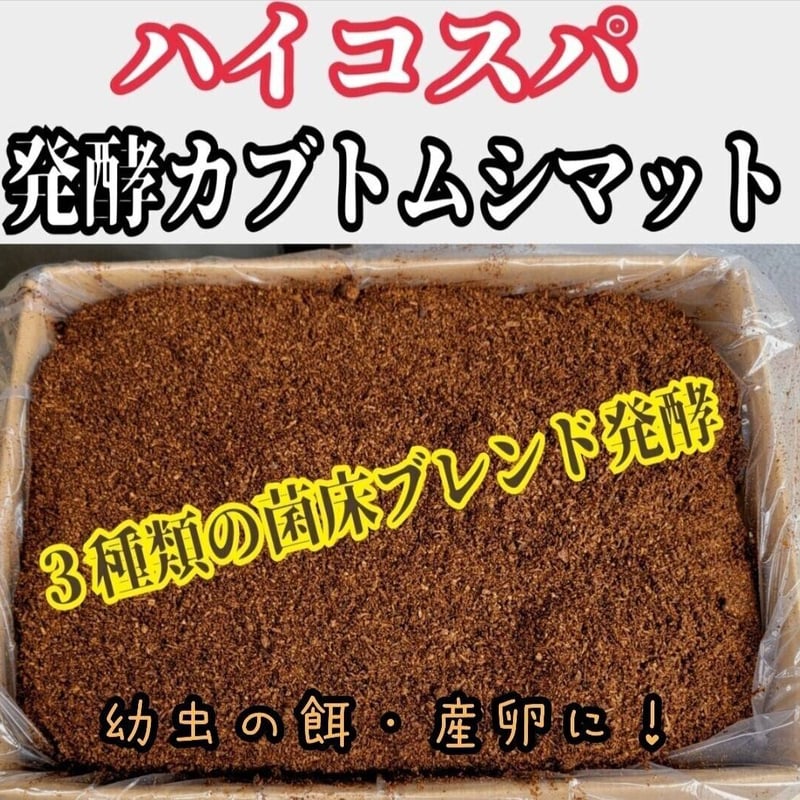 カブトムシ幼虫を低コストで大きくしたい方に！ ハイコスパ発酵マット