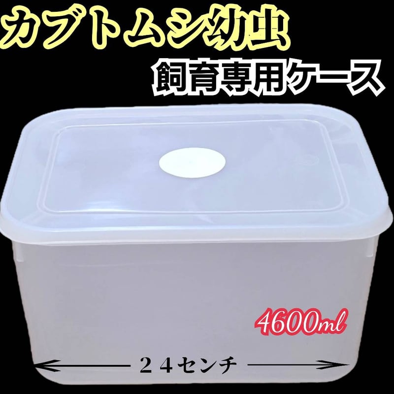 カブトムシ幼虫専用空ケース マットを入れるだけですぐに飼育できます