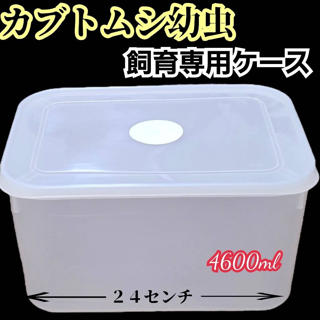 カブトムシ幼虫専用空ケース マットを入れるだけですぐに飼育できます