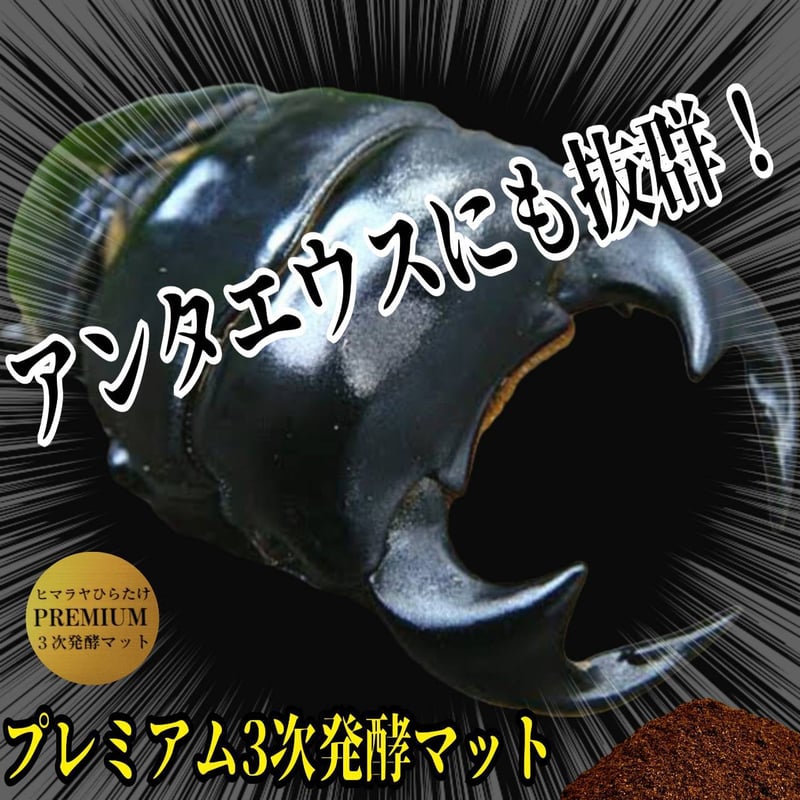 プレミアム3次発酵クワガタマット【10リットル】特殊アミノ酸・共生