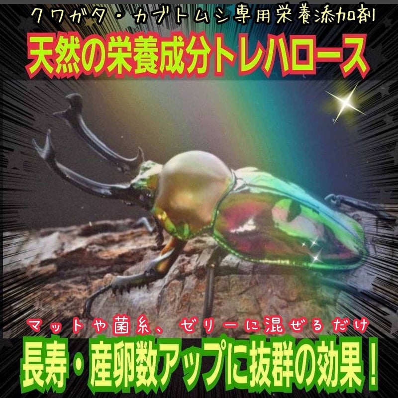 クワガタ・カブトムシ専用栄養添加剤 生体のエネルギー源です