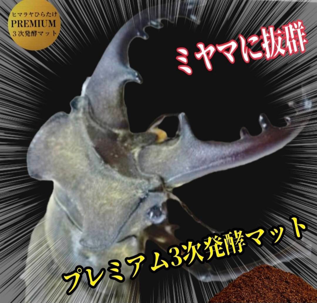 クワガタ幼虫を入れるだけ！便利！特大サイズ☆1500mlクリアボトル入り