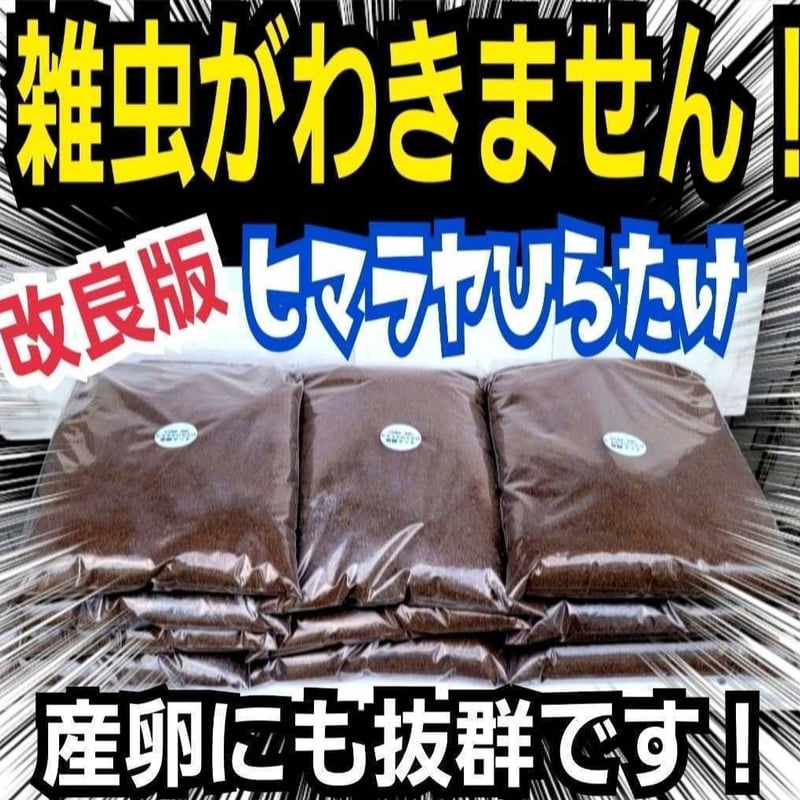 国産カブトムシにお薦め！ヒマラヤひらたけ菌床発酵マット【10リットル