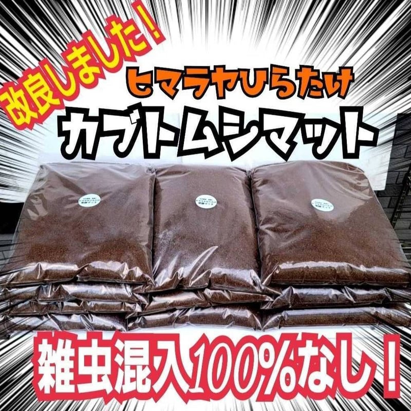 国産カブトムシにお薦め！ヒマラヤひらたけ菌床発酵マット【10リットル