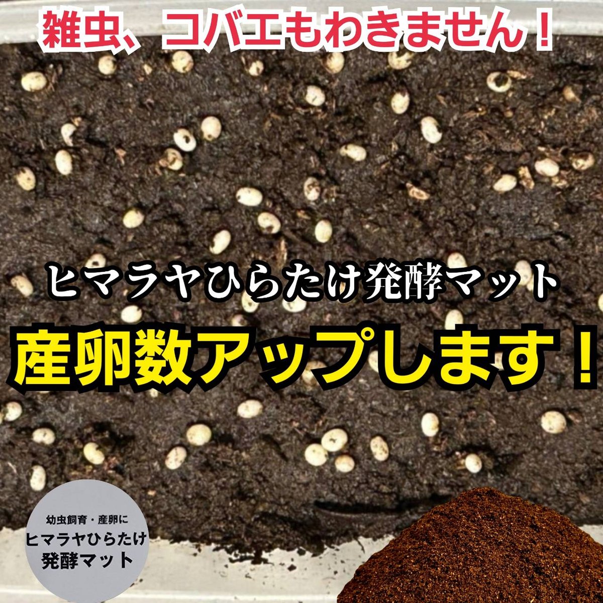 国産カブトムシにお薦め！ヒマラヤひらたけ菌床発酵マット【10リットル