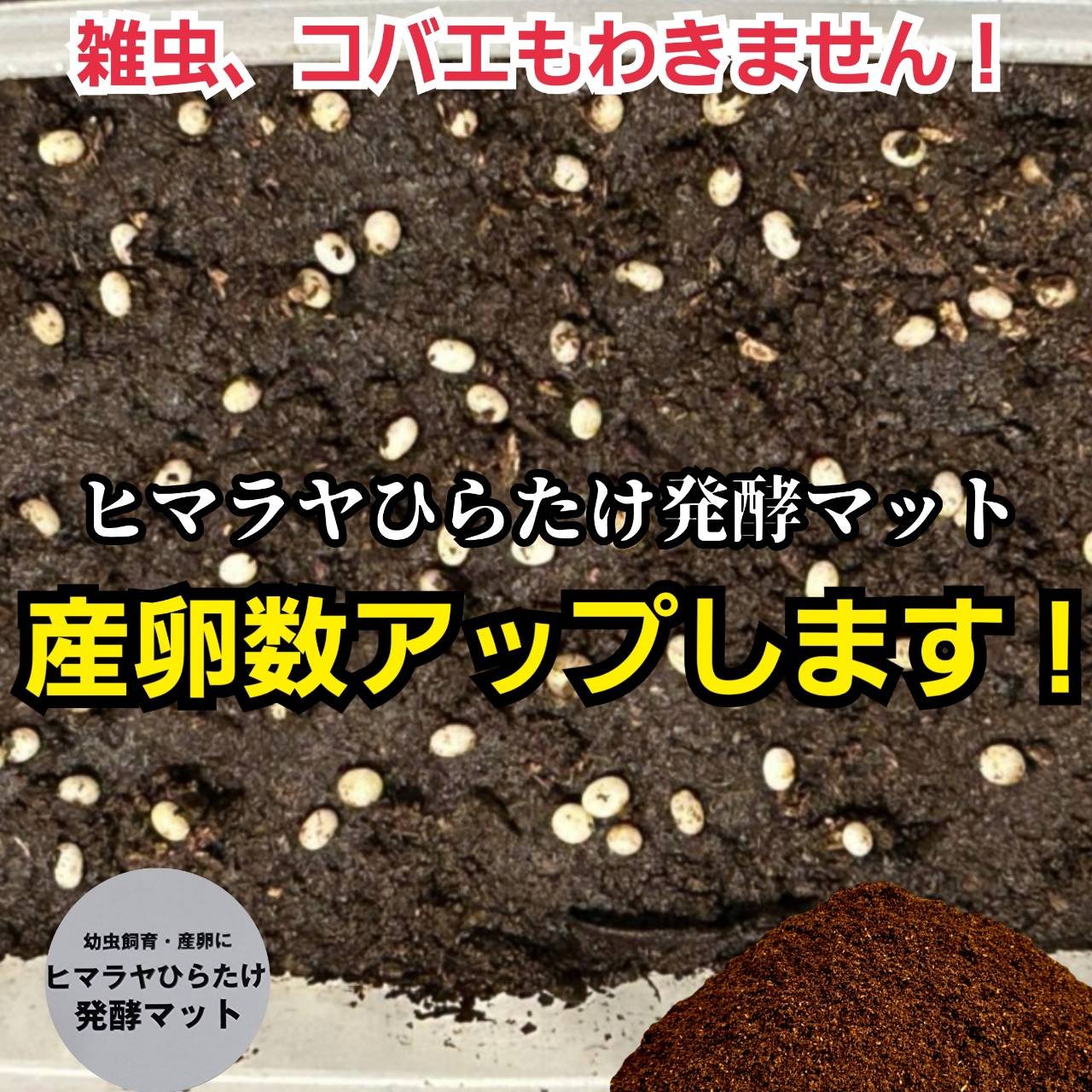 国産カブトムシにお薦め！ヒマラヤひらたけ菌床発酵マット【10リットル