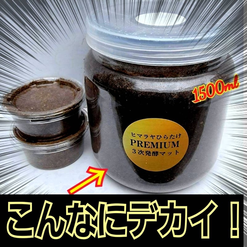 クワガタ幼虫を入れるだけ！便利！特大サイズ☆1500mlクリアボトル入り