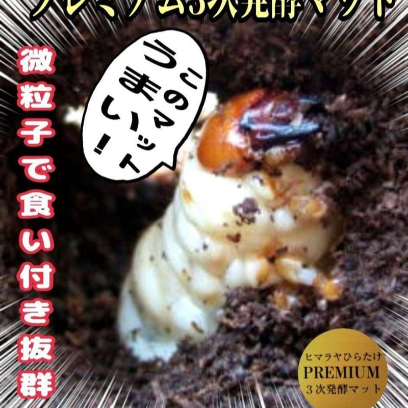 クワガタ幼虫を入れるだけ！便利！1000mlボトル入り【6本セット】進化