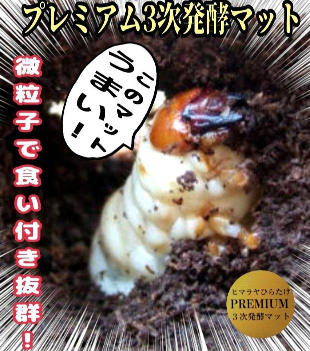 クワガタ幼虫を入れるだけ！便利！1000mlボトル入り【6本セット