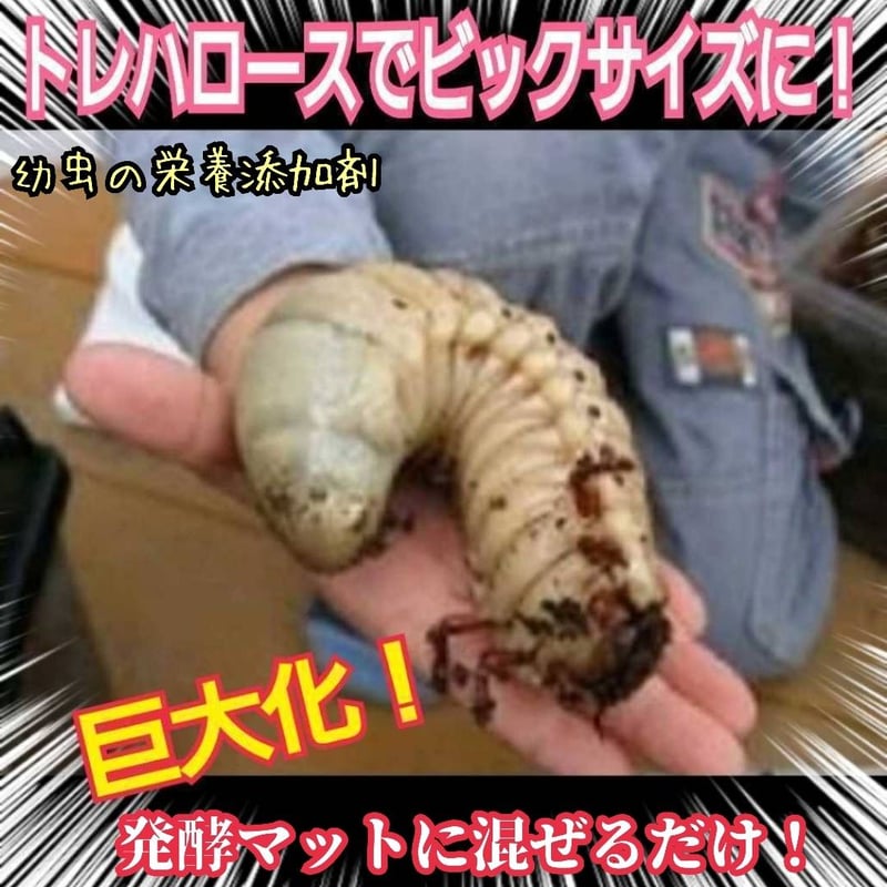クワガタ・カブトムシ専用栄養添加剤 生体のエネルギー源です